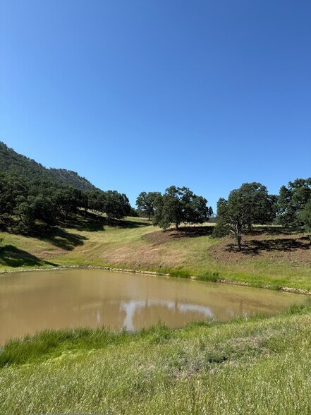 More Photos Of 3546 Huffmaster rd, Stonyford Land For Sale