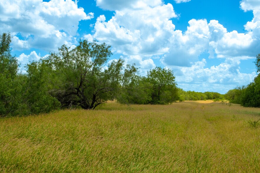 More Photos Of Las Brisas Road, Rio Grande City Land For Sale