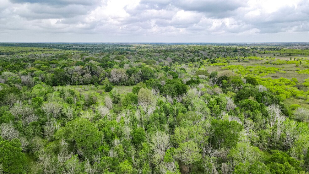 More Photos Of TBD Sparta Field Road, Waelder Land For Sale