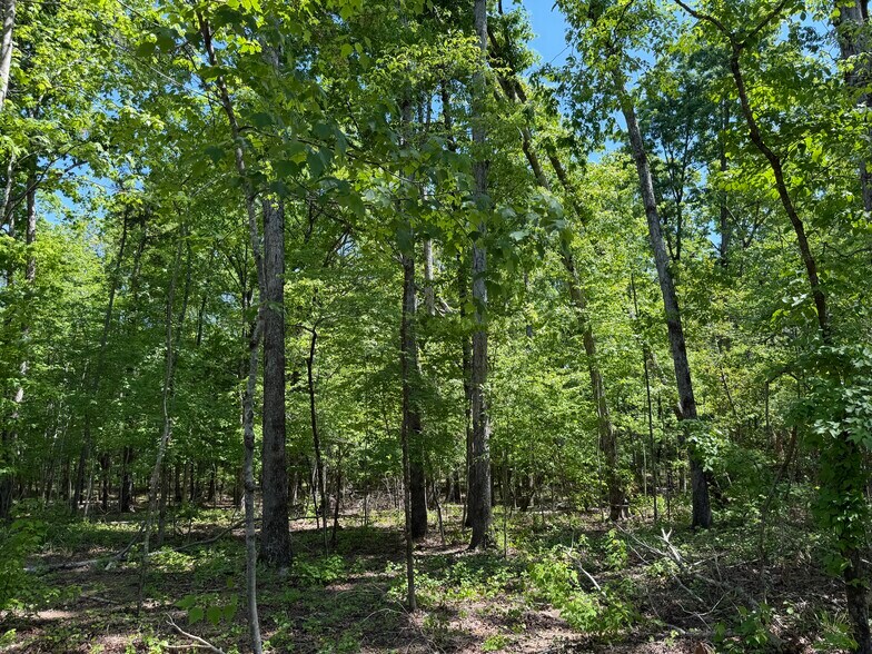 More Photos Of Hidden Harbor Road road, Lincolnton Land For Sale