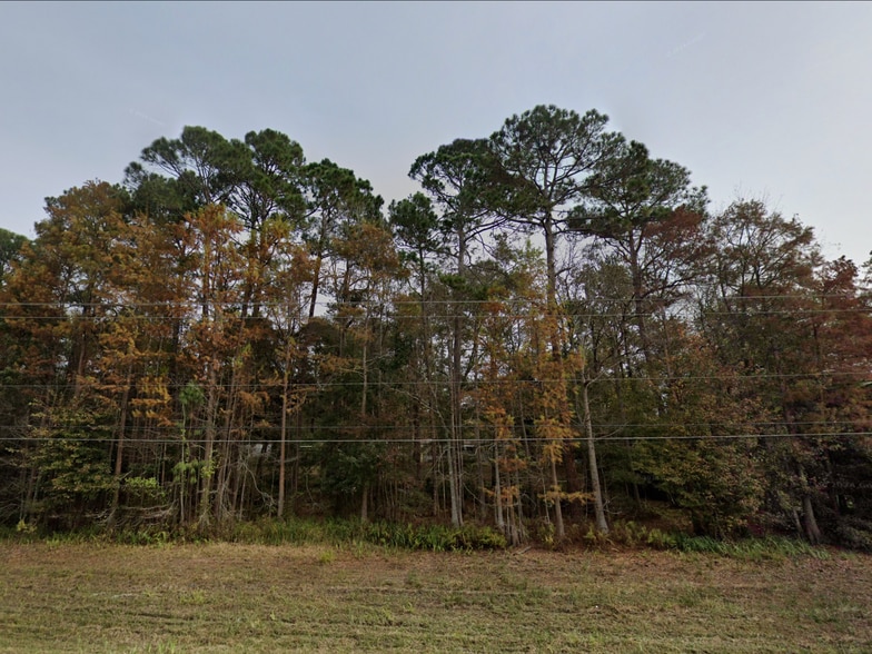 More Photos Of 897 US- Hwy80, Eden Land For Sale