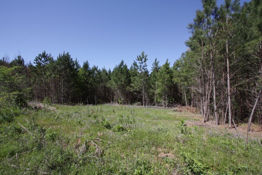 More Photos Of 331 Rosedale Dr, Hiram Land For Sale