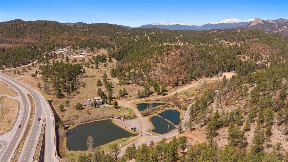 More Photos Of , Pine Land For Sale