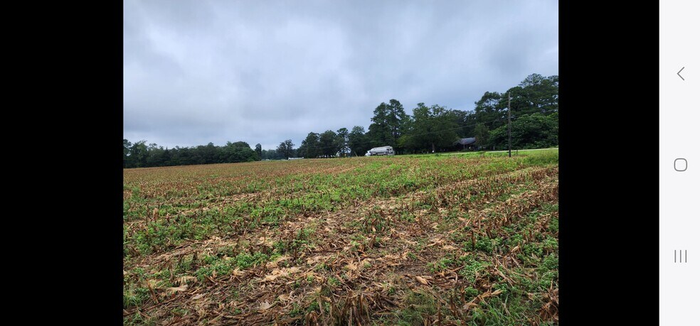 More Photos Of 2641 NC-71, Maxton Land For Sale