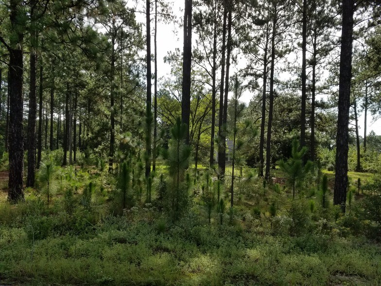 More Photos Of 757 Dixiana Rd, West Columbia Land For Sale