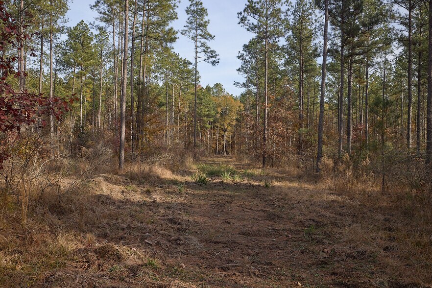 More Photos Of 480 Martin Rd, Cotton Valley Land For Sale