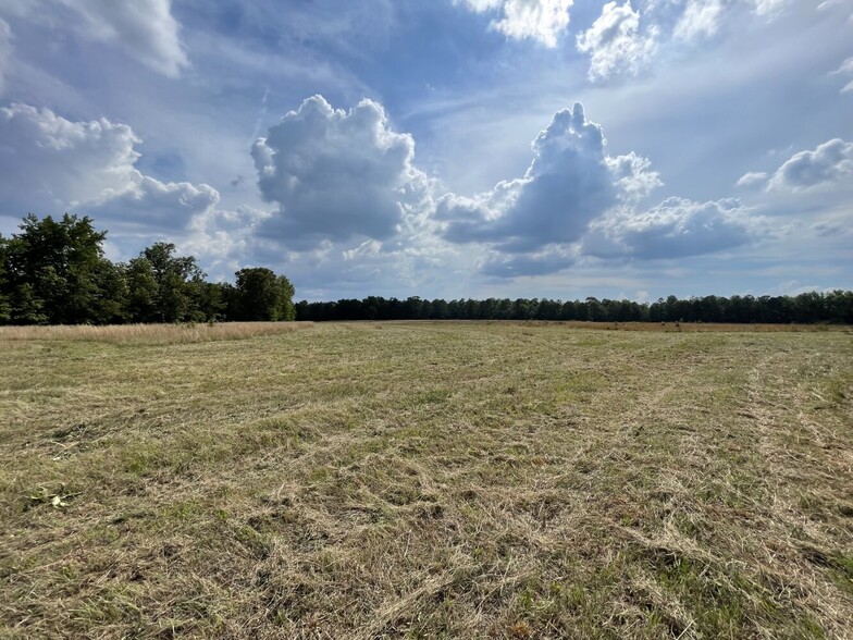 Primary Photo Of 229 Colbert Bridge Road, Windsor Land For Sale