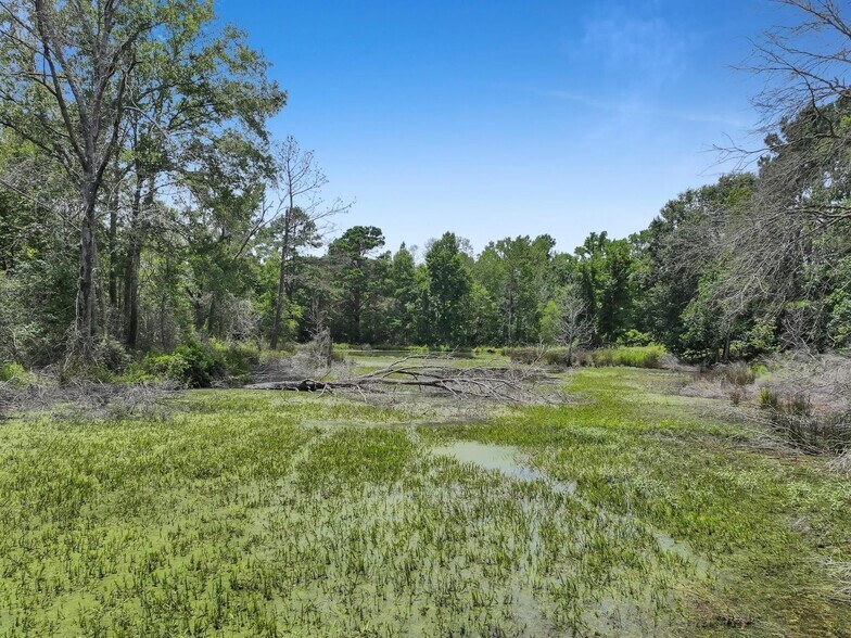 More Photos Of 8323 County Road 292, Buffalo Land For Sale