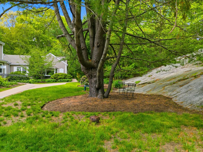 More Photos Of 35 Saybrook Rd, Essex Medical For Sale