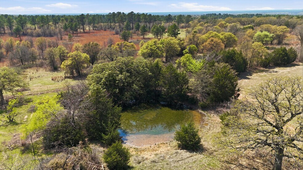 More Photos Of 2548 County Road 2690, Alvord Land For Sale