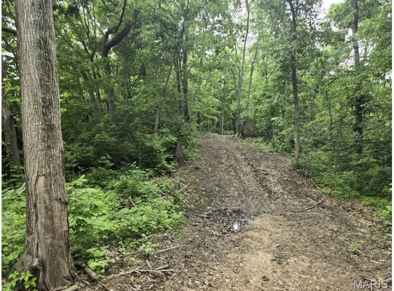 More Photos Of 6959 W Fellin Drive, Mount, Mount Olive Land For Sale