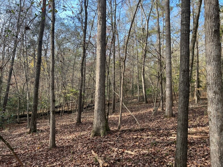 More Photos Of 0 Dickson Dr, Danielsville Land For Sale