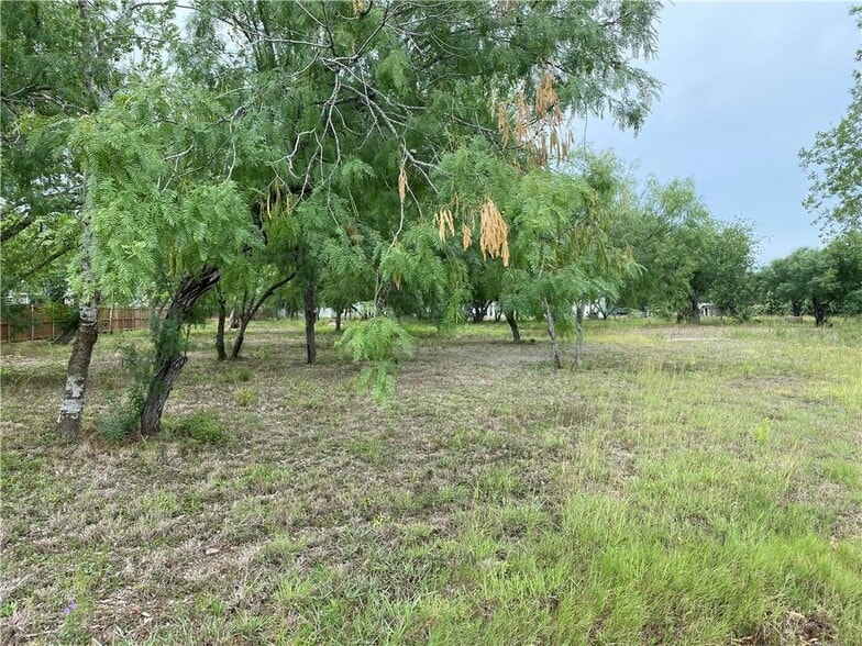 More Photos Of Cemetery Road @ 4th, Sinton Land For Sale
