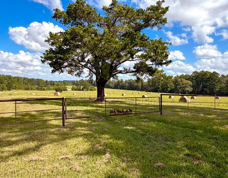 More Photos Of 567 Tamie Lowe rd, Moscow Land For Sale