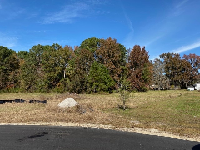 More Photos Of 50 Wise Ct, Richmond Hill Land For Sale