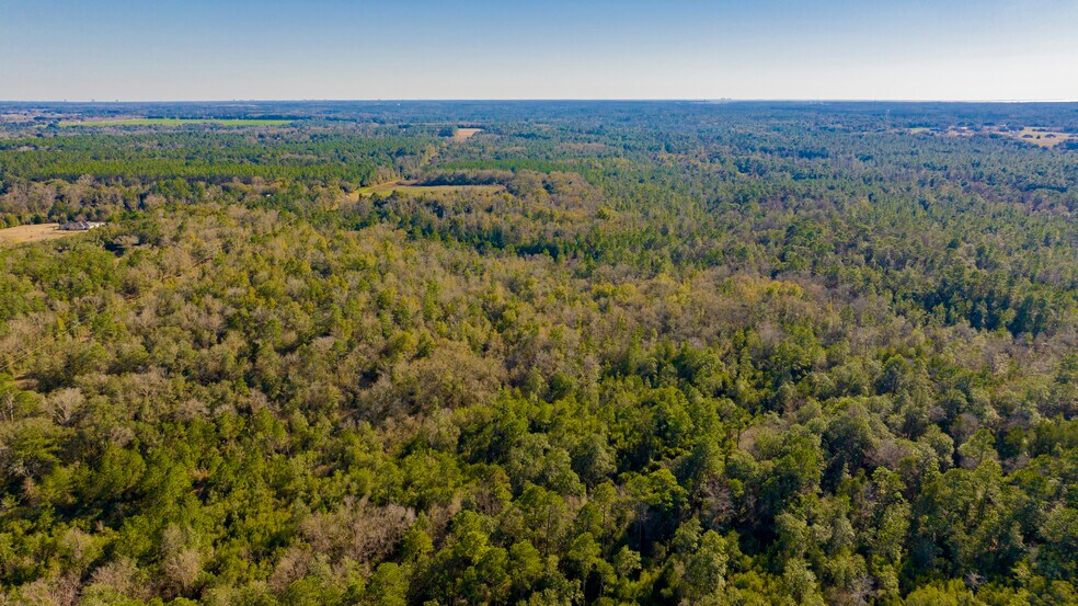 More Photos Of 12960 County Road 48, Silverhill Land For Sale