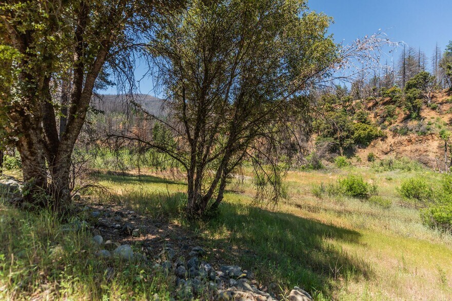 More Photos Of 200 Dutch Creek Rd, Junction City Land For Sale