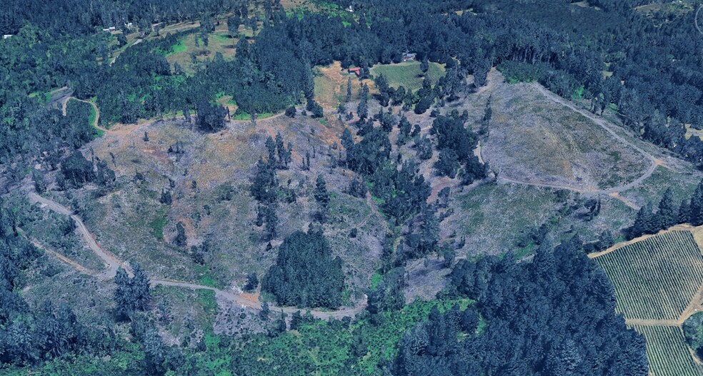 Primary Photo Of 16233 Orchard View RD, McMinnville Land For Sale