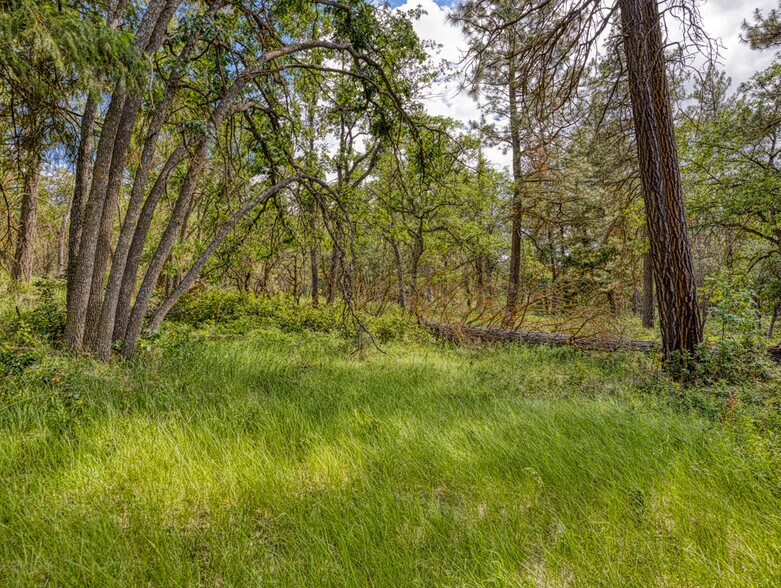 More Photos Of LP 1414 LP 1414 Highway 140 Hwy, Klamath Falls Land For Sale