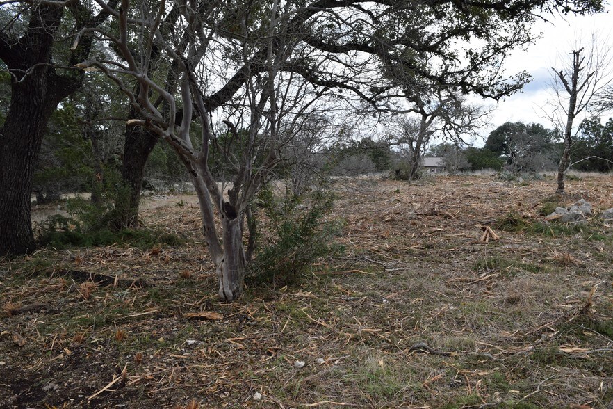 More Photos Of 6690 US Highway 281 N, Spring Branch Land For Sale