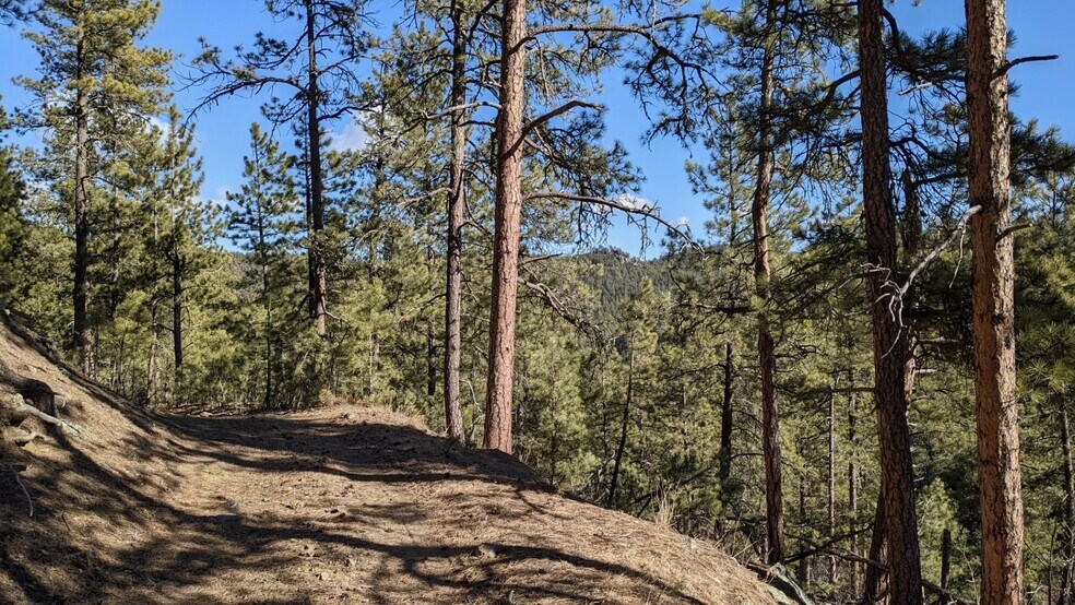 More Photos Of 1201A Old Hill City Rd, Keystone Land For Sale