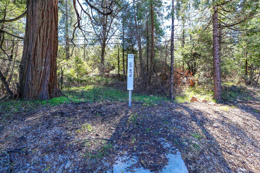 More Photos Of 4610 E HIGHWAY 4, Murphys Land For Sale