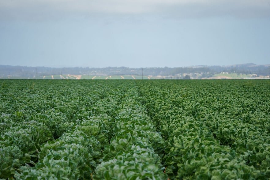 More Photos Of 120 San Jon Rd, Salinas Land For Sale