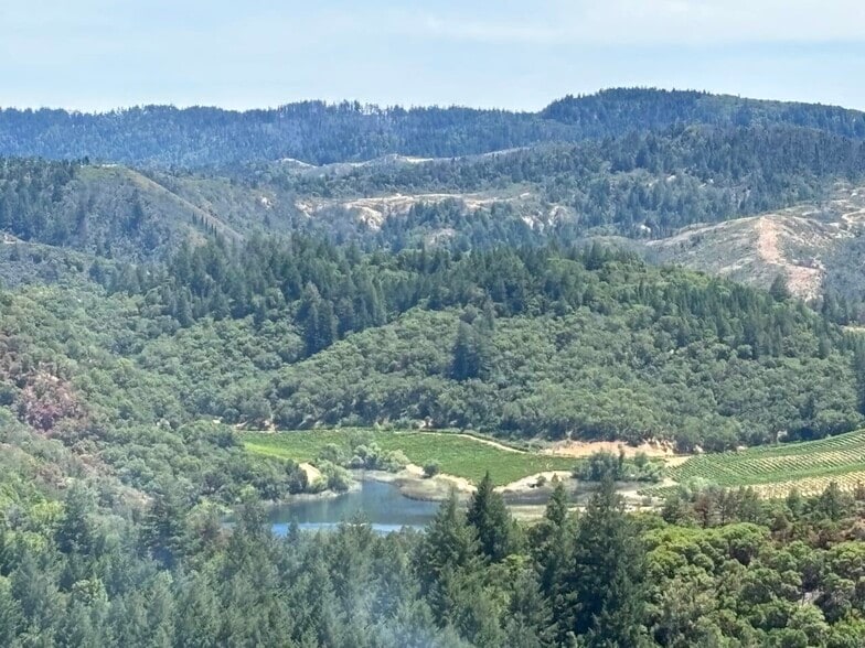 Primary Photo Of 4901 Stewarts Point Skaggs Springs Road, Geyserville Land For Sale