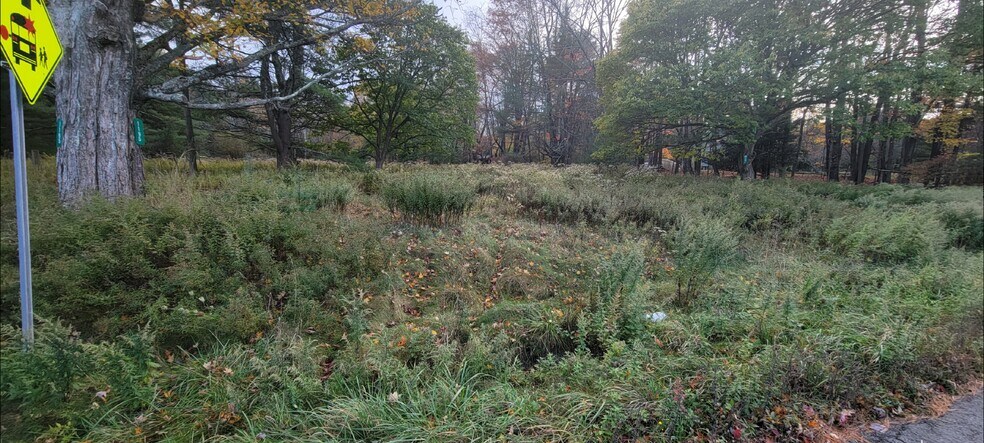 More Photos Of 1195 State Route 17B, Bethel Land For Sale