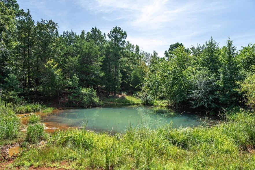 More Photos Of 00 County Road 4501, Jacksonville Land For Sale