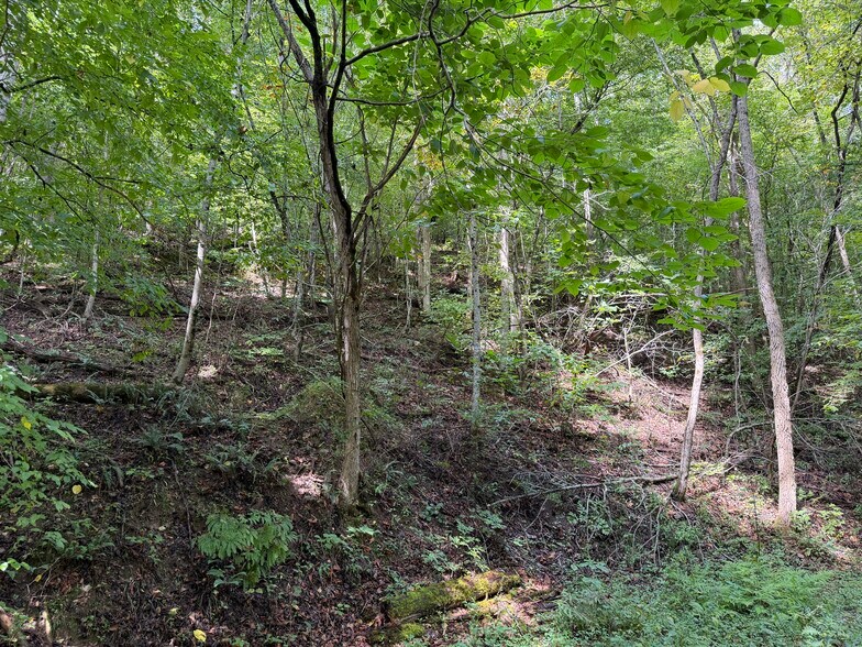 More Photos Of Fuller Mountain Rd, Fairmount Land For Sale