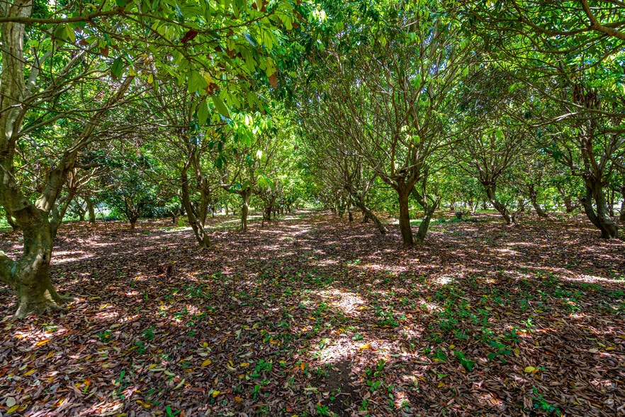 More Photos Of 27804 SW 175th Ct, Homestead Land For Sale