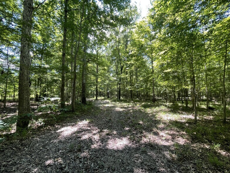 More Photos Of Raspberry Street & 69 hwy, Gallion Land For Sale