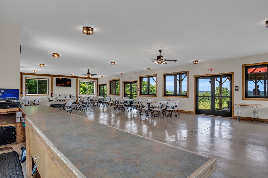 More Photos Of 3 Orchard Rd, Liverpool Winery Vineyard For Sale