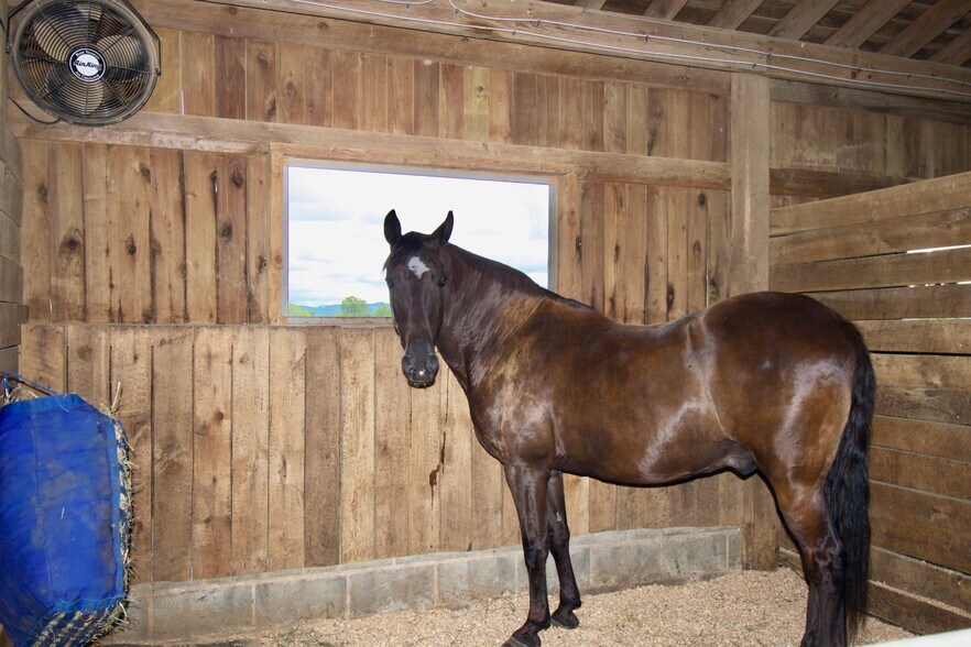 More Photos Of 3476 Fairview Rd, Lewisburg Specialty For Sale