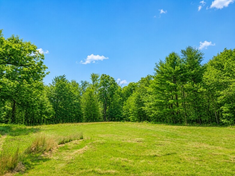 More Photos Of 94-100 Dingle Daisy Rd, Monticello Land For Sale