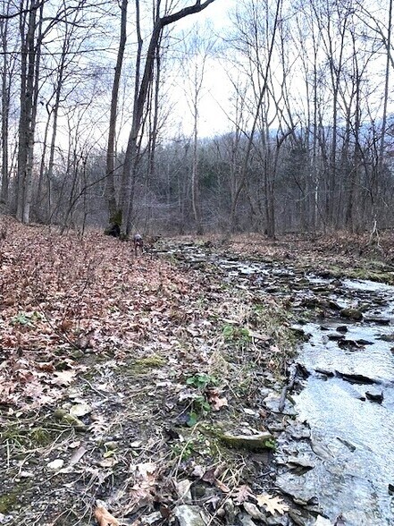 More Photos Of 264 Ritchie Rd, Carlisle Land For Sale