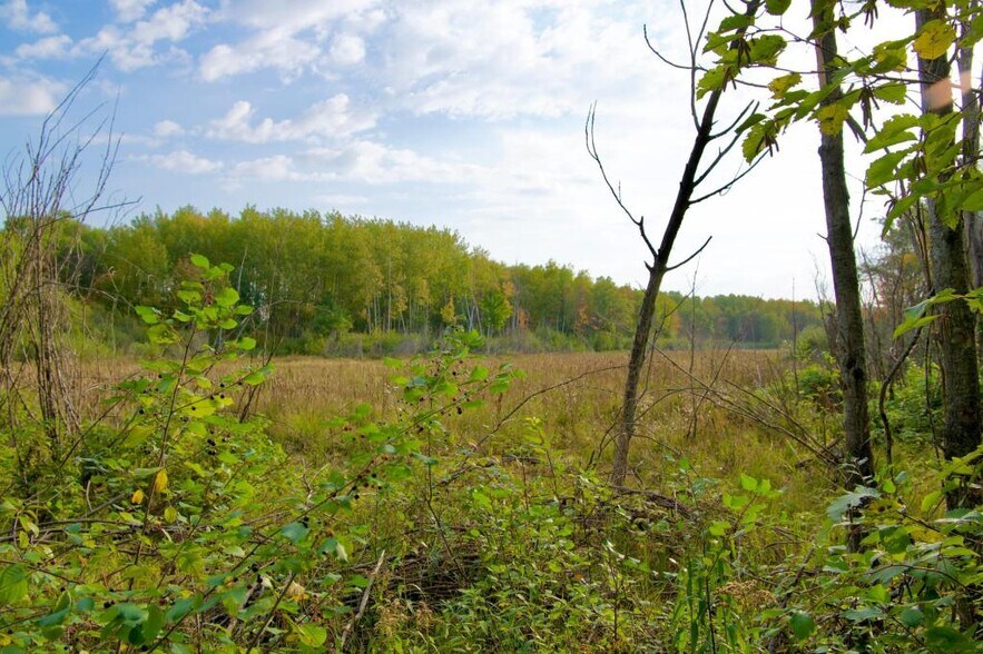 More Photos Of 371 Hwy, Brainerd Land For Sale