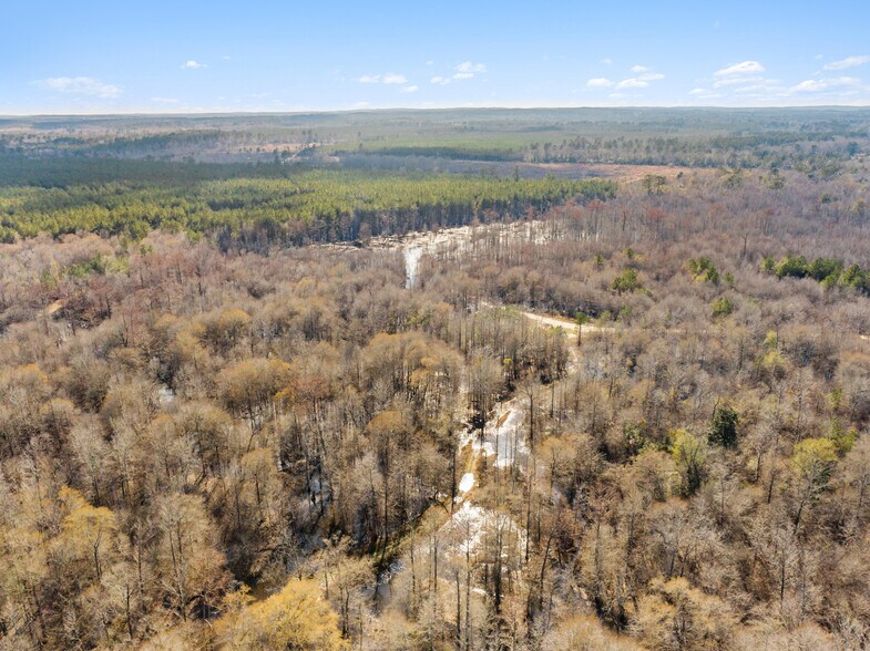 More Photos Of 7471 Hwy 155, Saline Land For Sale