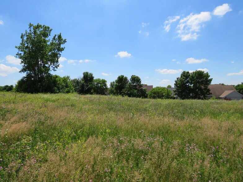More Photos Of Weber Rd & Carillon Dr, Romeoville Land For Sale