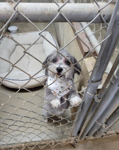 More Photos Of 1642 W Inman Rd, Nixa Office Residential For Sale