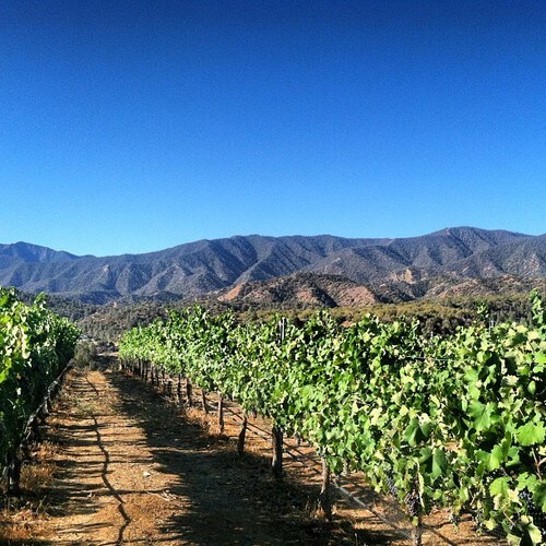 More Photos Of 1643 Cuyama Hwy, Maricopa Land For Sale