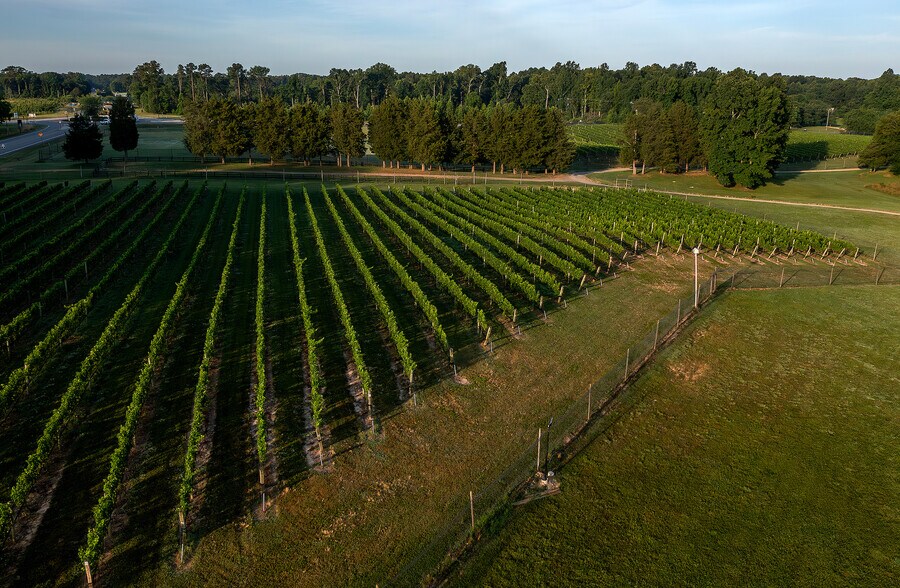 More Photos Of 8400 Old Church Rd, New Kent Winery Vineyard For Sale