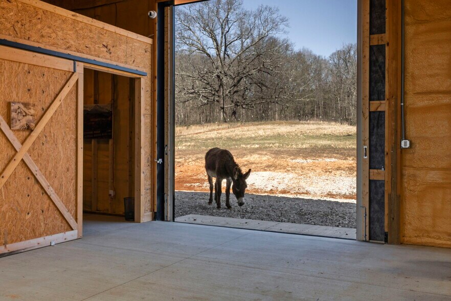 More Photos Of 1185 Jack Smith Rd, Rockfield Land For Sale