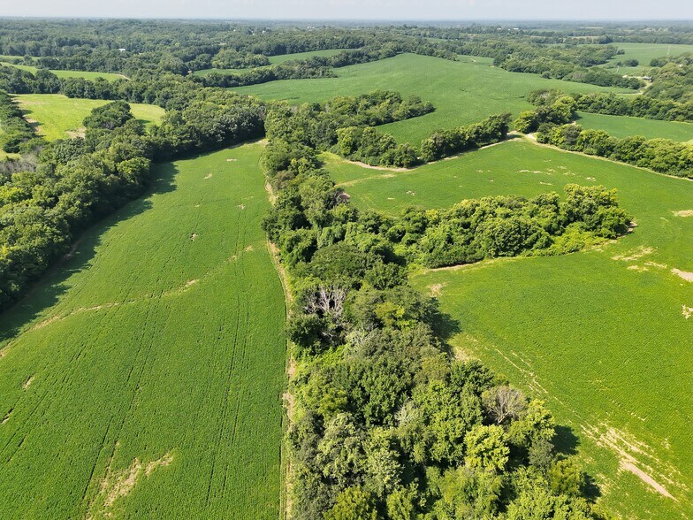 More Photos Of Walnut Hill Ln. (36.31+/- Acres), Elsberry Land For Sale