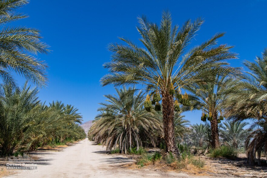 More Photos Of 75317 Polk St st, Thermal Land For Sale