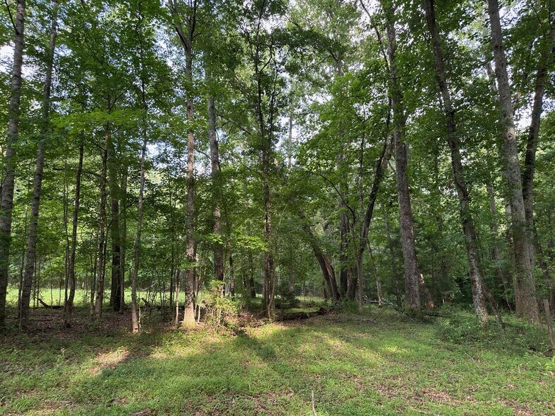 More Photos Of 4091 Hollonville Rd, Williamson Land For Sale