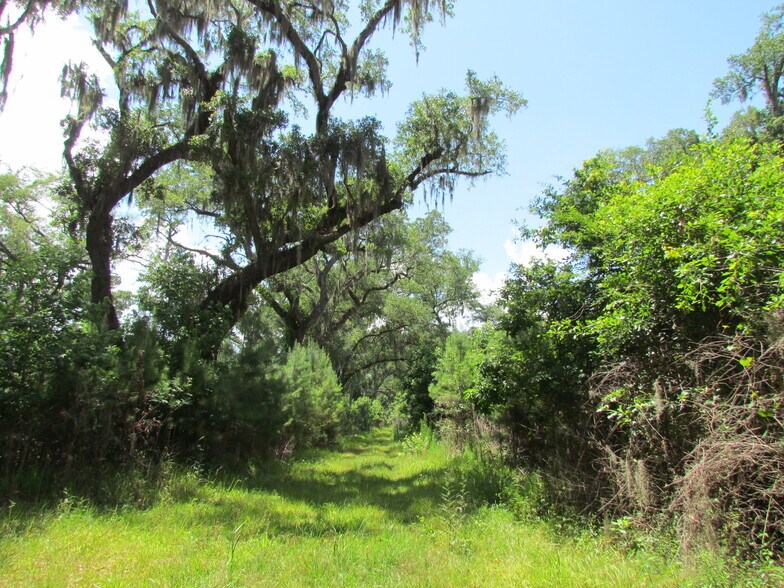 More Photos Of 214 Seabrook, Seabrook Land For Sale