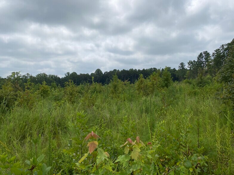More Photos Of 00 Stirewalt Rd & Trinity Church Rd, Kannapolis Land For Sale
