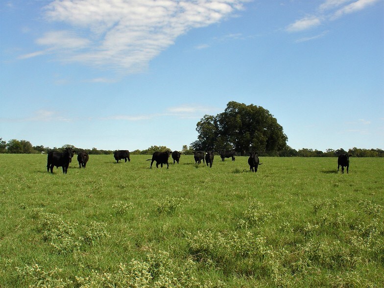 More Photos Of 53681 US 290 Hwy, Hempstead Land For Sale